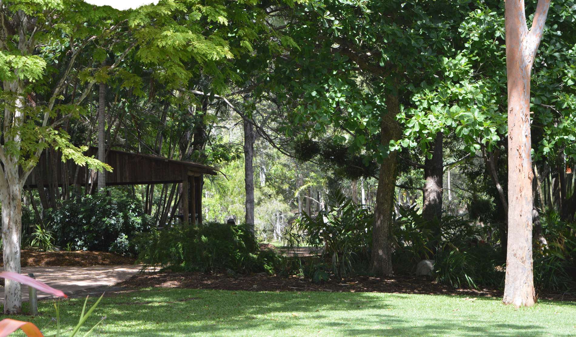 Hervey Bay Botanical Gardens picnic area